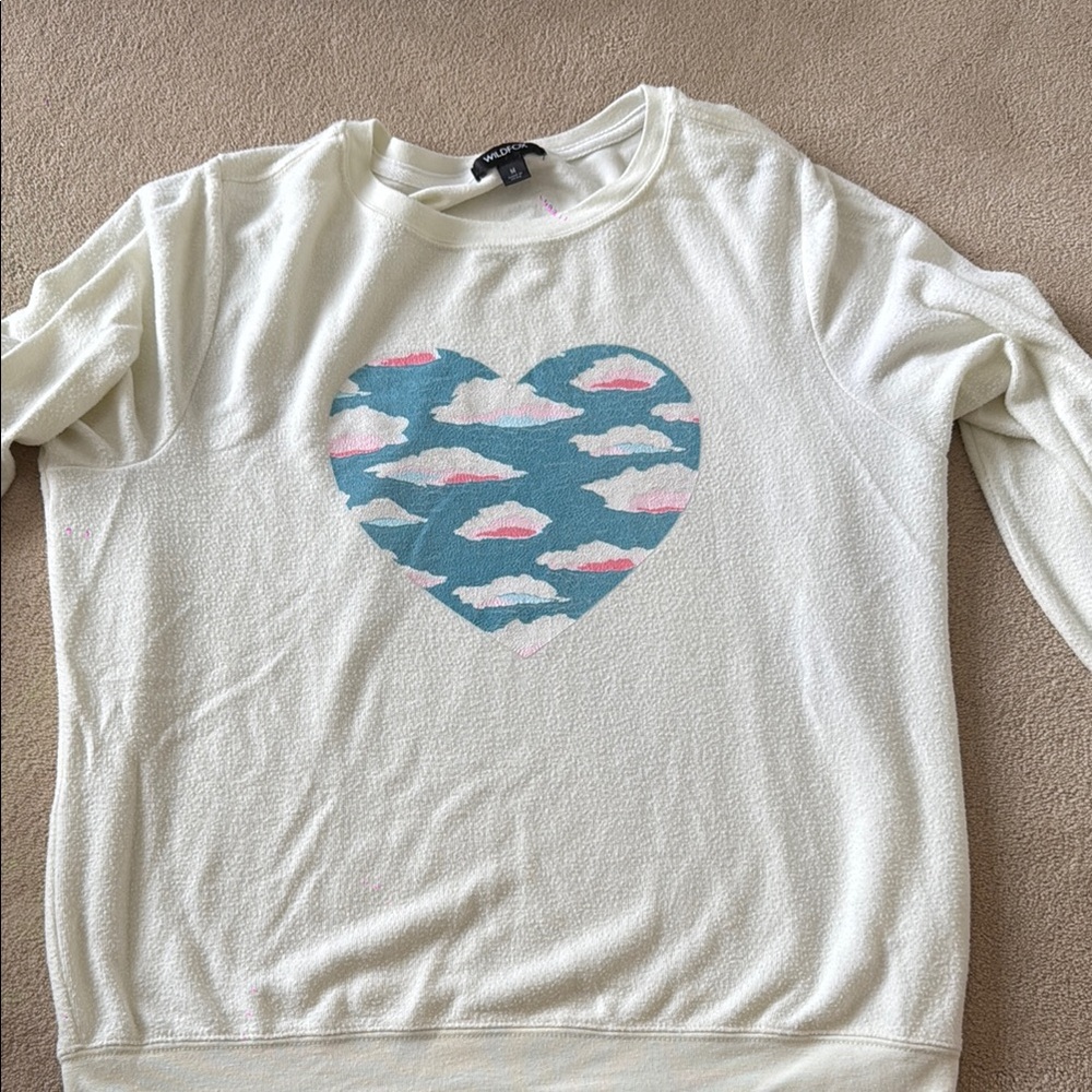 Wildfox Comfy Pullover Sweater